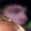 Face f_6781_11