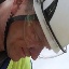 Face f_13621_0