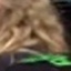 Face f_45091_60