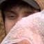 Face f_83131_13