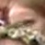 Face f_95431_65