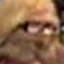 Face f_146281_31