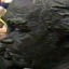 Face f_165361_15