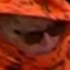 Face f_205291_13