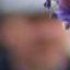 Face f_214441_2