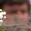 Face f_225901_8