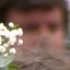 Face f_225931_8