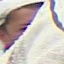 Face f_316081_6