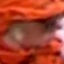 Face f_357511_17