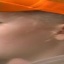 Face f_362641_11