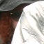 Face f_364771_17