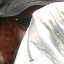 Face f_364801_19