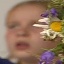 Face f_370561_2