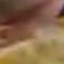 Face f_384271_6