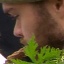 Face f_442321_3
