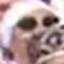 Face f_474541_86