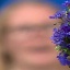 Face f_480721_4