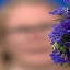 Face f_480901_3