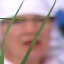 Face f_483691_11