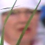 Face f_483721_13