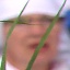 Face f_483751_12