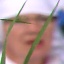 Face f_483781_12
