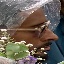 Face f_491041_1