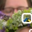 Face f_503551_18