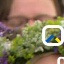 Face f_503581_18