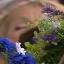 Face f_541681_18