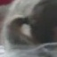 Face f_600301_13