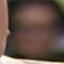 Face f_615421_3