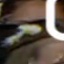 Face f_617971_47