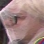 Face f_633631_6