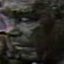 Face f_699601_59