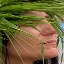 Face f_766651_4