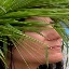 Face f_766681_4