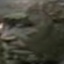 Face f_840481_49