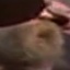 Face f_877651_16