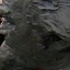 Face f_921031_17
