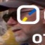 Face f_954421_8