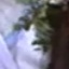 Face f_1010911_193