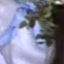 Face f_1011151_113
