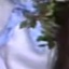 Face f_1011271_97