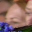 Face f_1012111_14