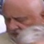 Face f_1013461_133
