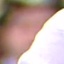 Face f_1017391_22