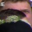 Face f_1020991_23
