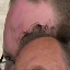 Face f_1030831_10
