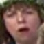 Face f_1033891_86